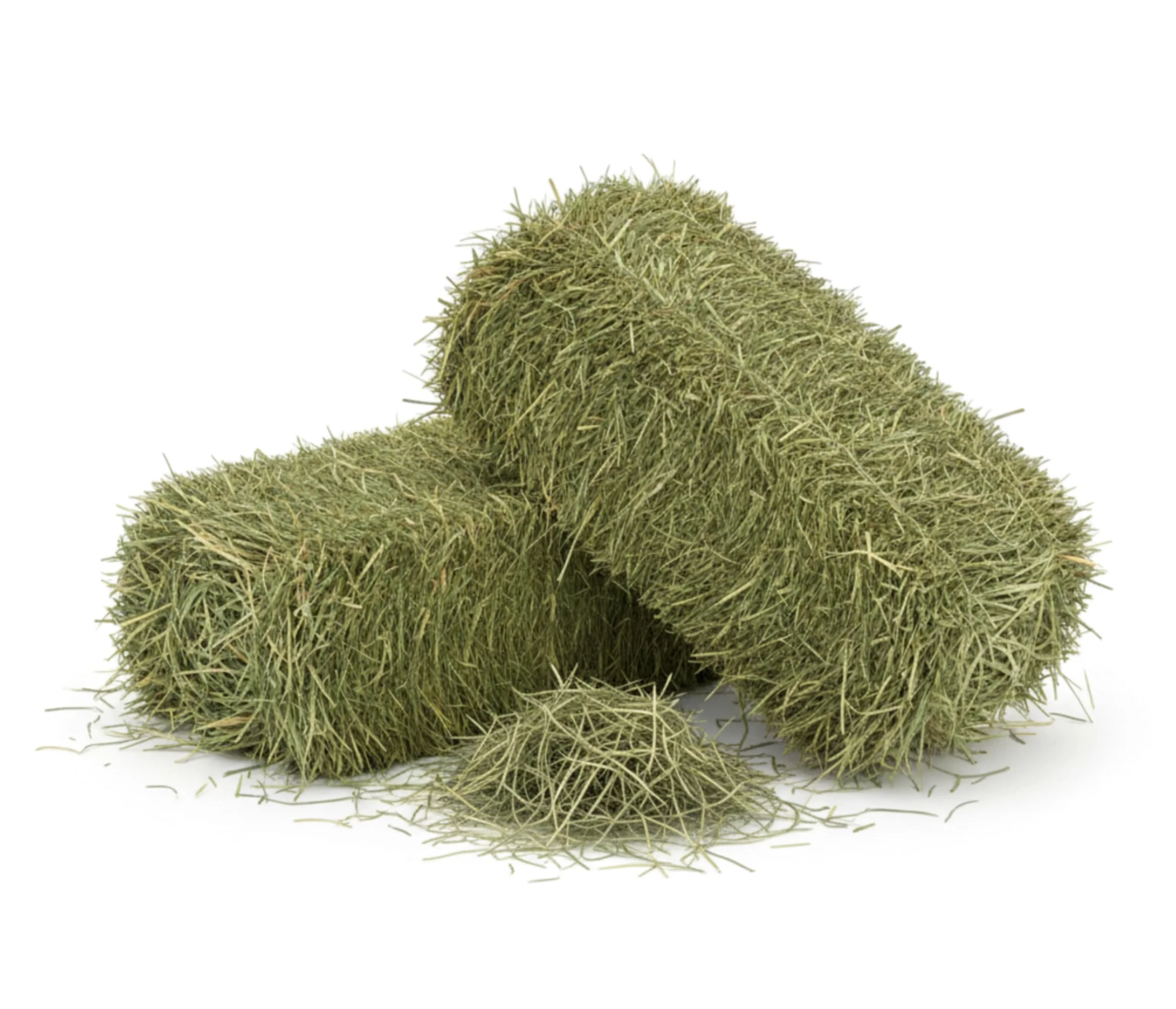 Heno natural para caballos, ovinos, caprinos y ganado 15 kg | Bala de heno italiano de prado de montaña orgánico | Alimento para todos los roedores, conejos y ganado | Alta calidad 15