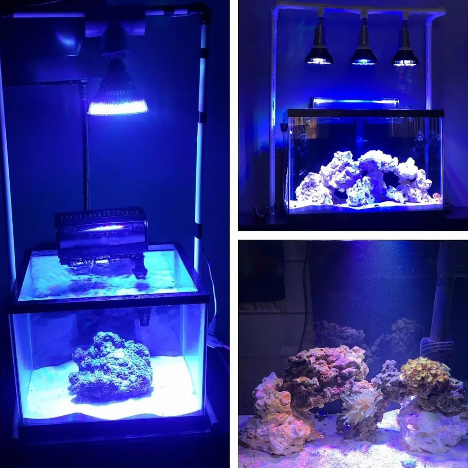 Luz LED para pecera, luces de acuario de espectro completo, lámpara de cultivo de plantas acuáticas, luces LED de arrecife para hábitat de tortugas marinas de coral, 18W