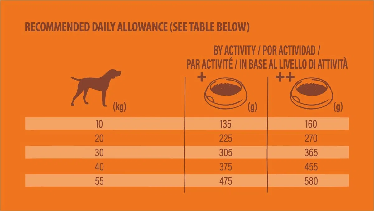 Nature's Variety Selected, Pienso para Perros Adultos Medianos y grandes, Sin cereales, con Salmón noruego sin espinas, 12kg
