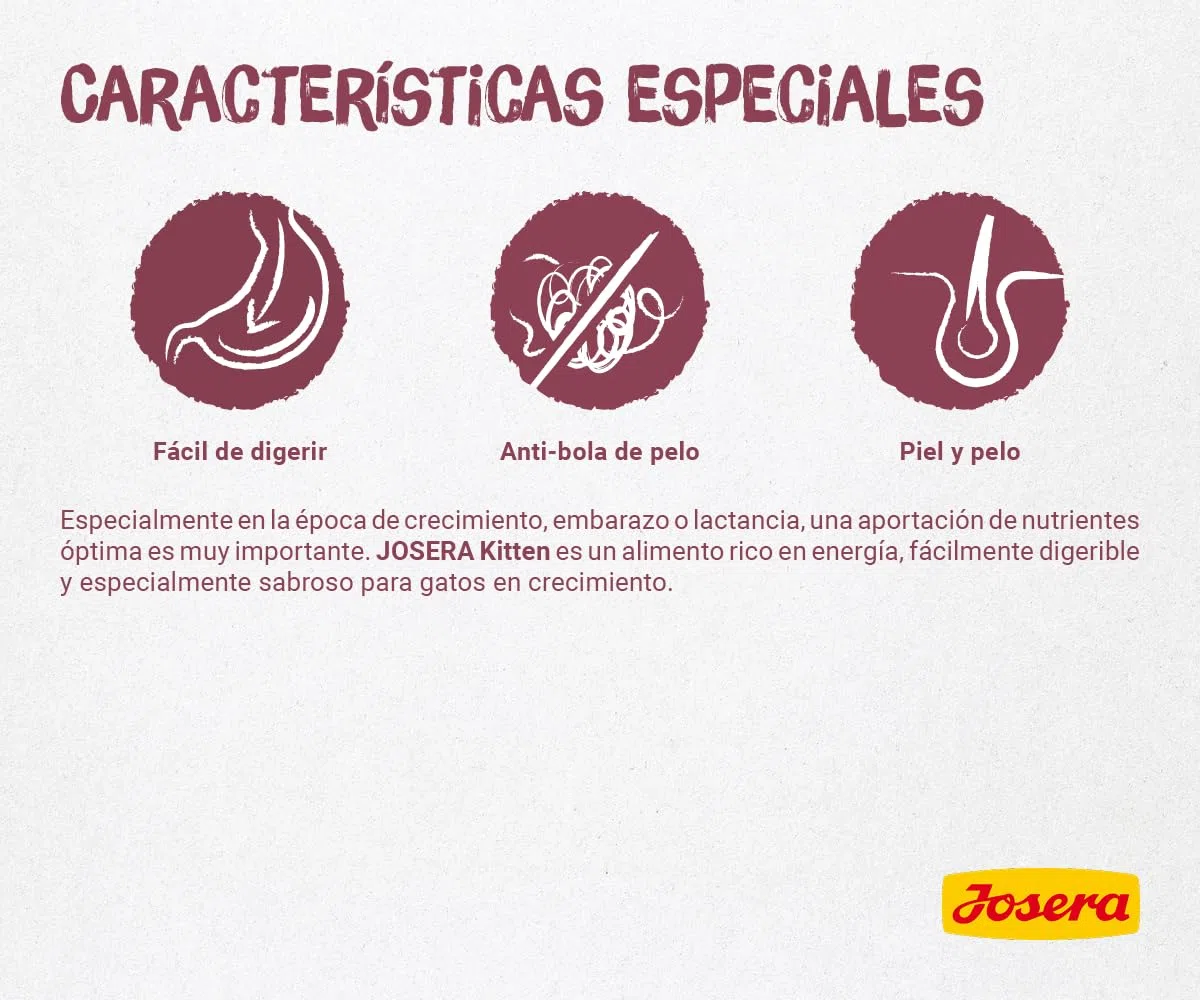 Josera Kitten (1 x 10 kg) | Alimento completo para gatas gestantes, en lactación y en crecimiento 1 unidad