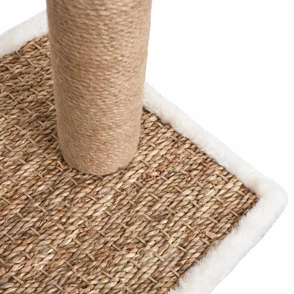 Árbol para gatos con arco para el cuidado del pelo, columna rascadora pequeña, color marrón | Accesorio compacto para gatos para el salón con cepillo de masaje y tronco rascador de algas marinas.