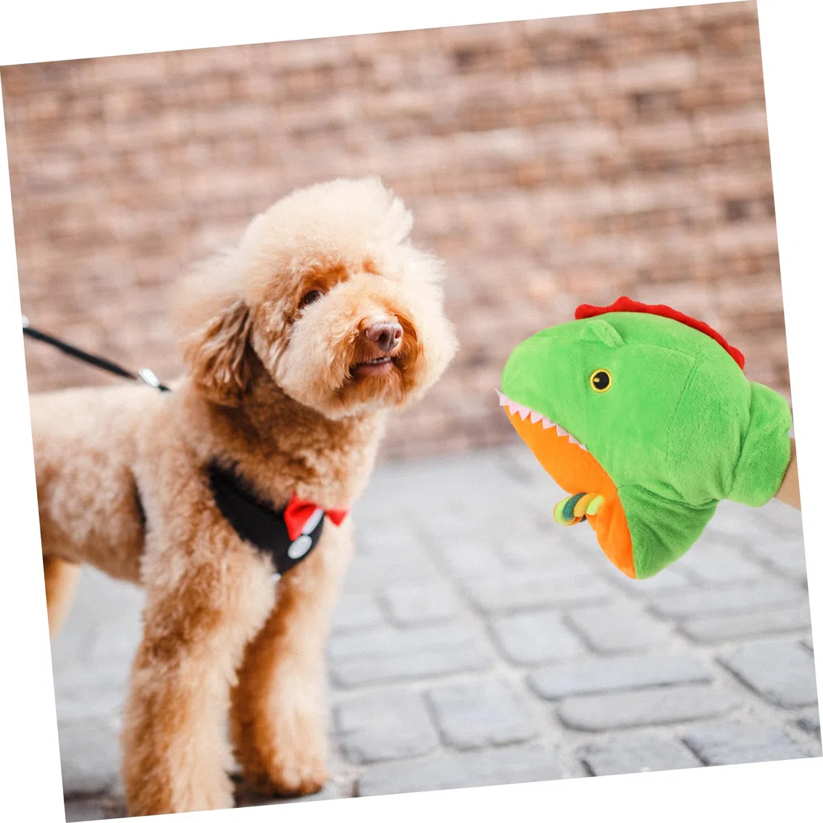 Kisangel 2 Piezas Suministros Mascotas Dog Toys Protector Hombro pájaro Juguetes para Mascotas Peluche Juguete para morder Perros Juguete para Masticar Mascotas el