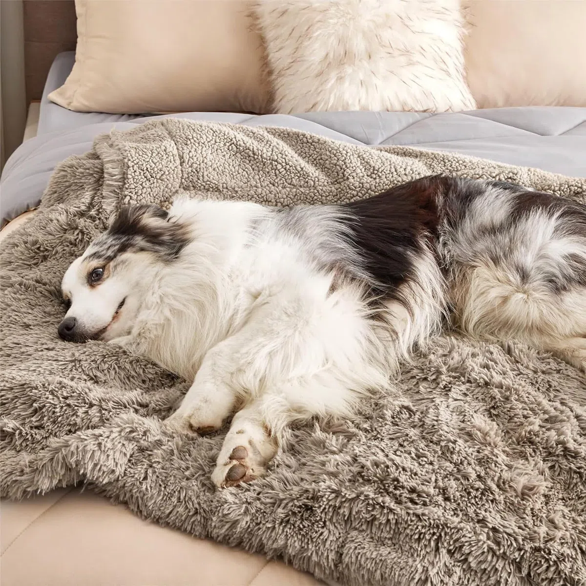 Manta para mascotas, mantas para perros pequeños, medianos y grandes, gatos, mantas de cama para cachorros, tapetes para dormir cálidos, tapetes lavables para muebles para sofá, asiento de
