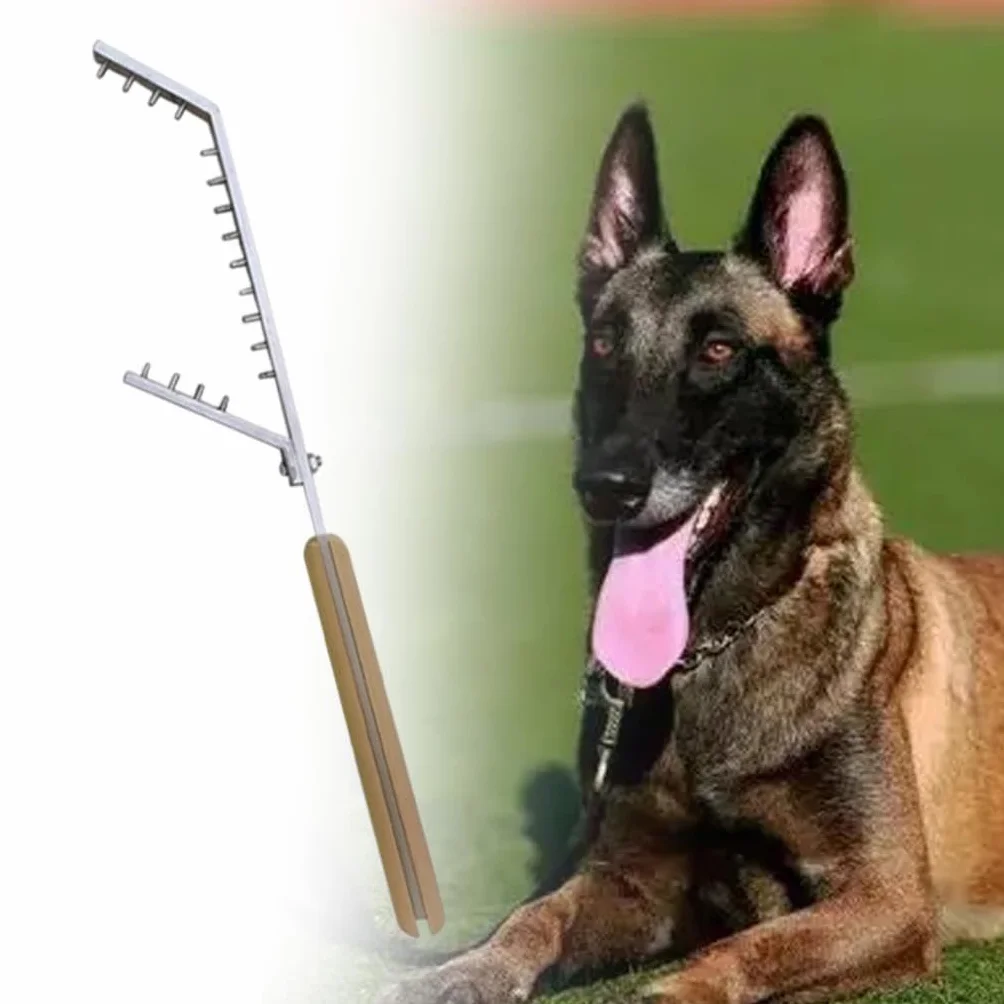 Poste de Adiestramiento Canino, Herramienta de Adiestramiento, Equipo de Adiestramiento