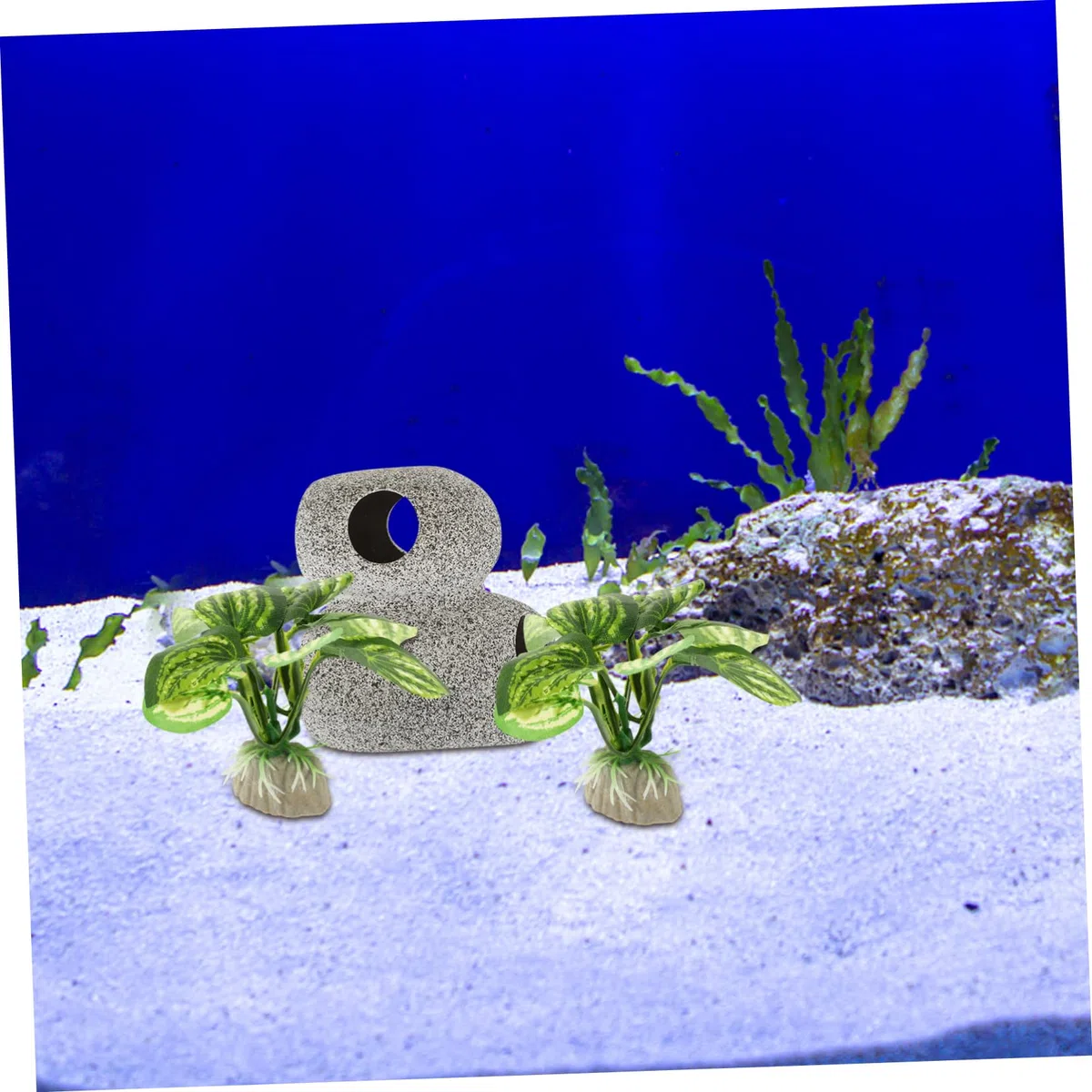 PRETYZOOM 2juegos Decoración De Acuario Cueva y Plantas Falsas Set De Ornamentos para Peceras y Terrarios Accesorios Acuáticos para Escondites De Peces y Camarones