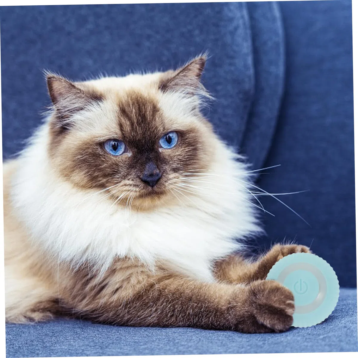 SUPVOX 3 Piezas Gatito Gravedad Sabiduría Gatito Gravedad Inteligente Bola Rodante Juguetes Bolas De Gato Juguetes para Mascotas Juguete Gato Suministro Portátil Juguete