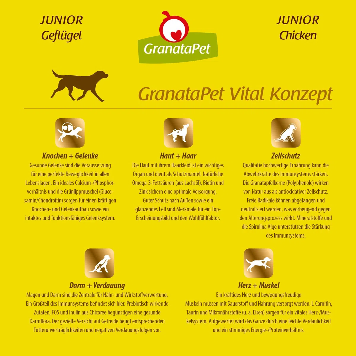 Liebling´s Mahlzeit GranataPet Comida Favorita para Aves de Corral Junior, 10 kg, Comida Seca para Perros, Comida para Perros sin Cereales y sin azúcares añadidos, pienso Completo | Pienso completo, sin cereales, sin azúcar, aceite de salmón y mejillón de