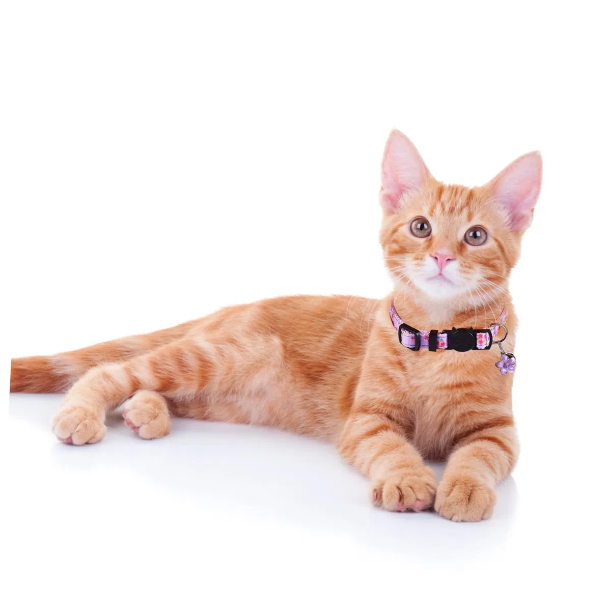 Toddmomy 12 Piezas Collar de Gato Lazos para Mascotas Collar de Mascota Perro a Necklace es Floral para Mascotas de Campana para Gatito Cuello Cuerda Nylon