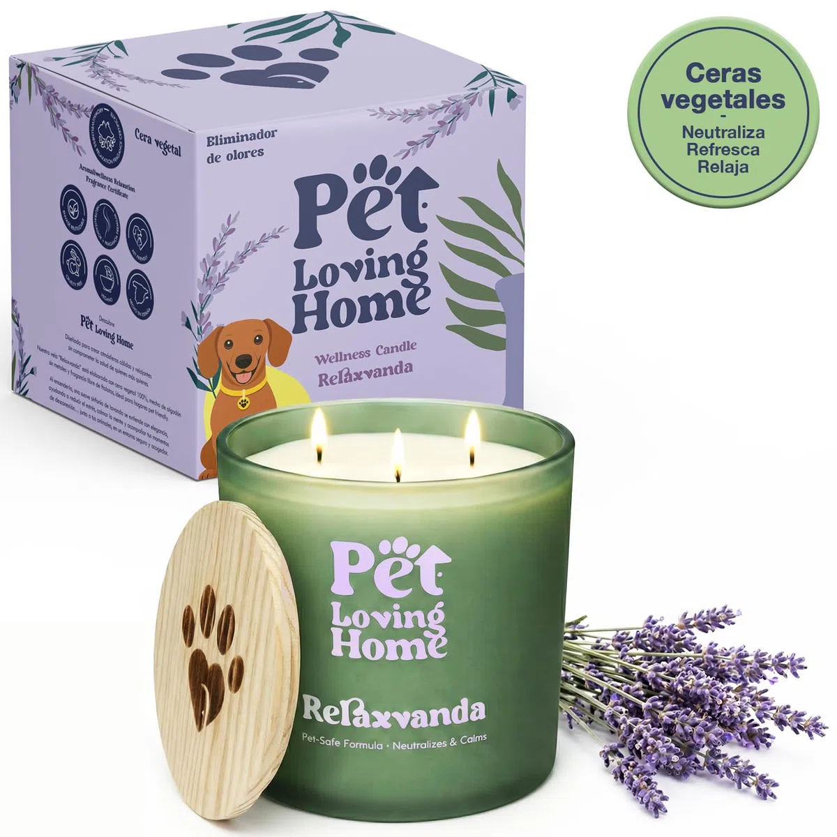 Pack Vela Aromática 350g + Ambientador Spray 200ml - Set Regalo Aroma Lavanda - Neutralizador de Olores de Mascotas - Pet Friendly Perro y Gato - Vela de Soja Decorativa