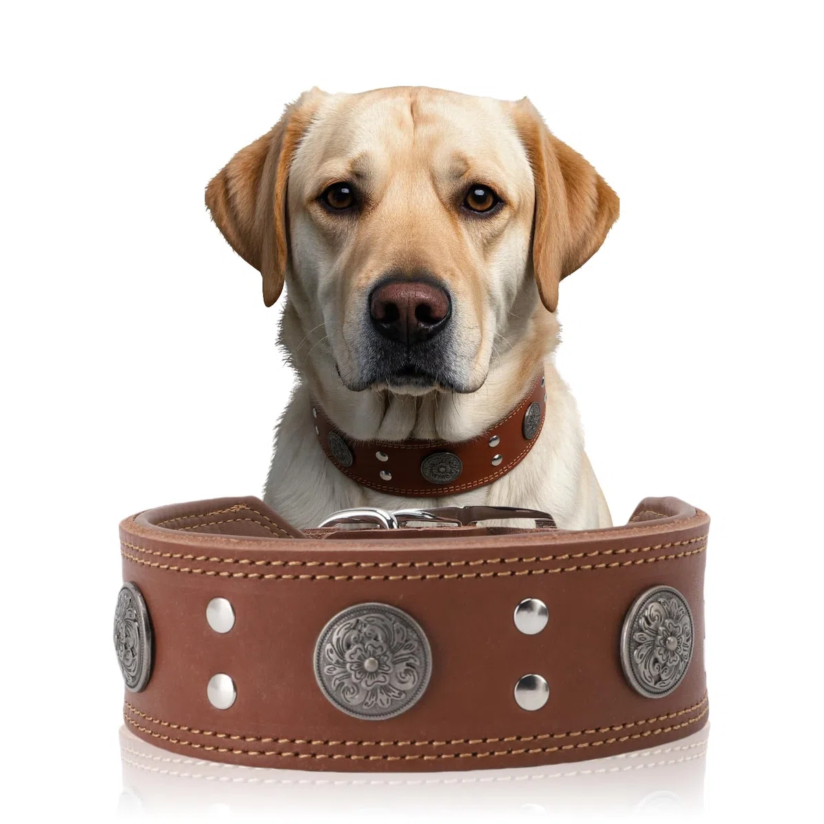 Collar de Cuero para Perros, Collar de Cuero Ancho para Perros de 5cm, Collares de Ajustables con Hebilla metálica, Collar Ancho para Perros de Razas Grandes y Medianas (Talla XL)