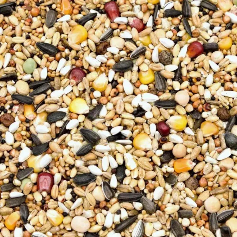 Pienso para palomas Winter Extra Plus, 25 kg, mezcla de granos de alta energía para meses de invierno, rica en proteínas y fibra para una óptima condición y salud