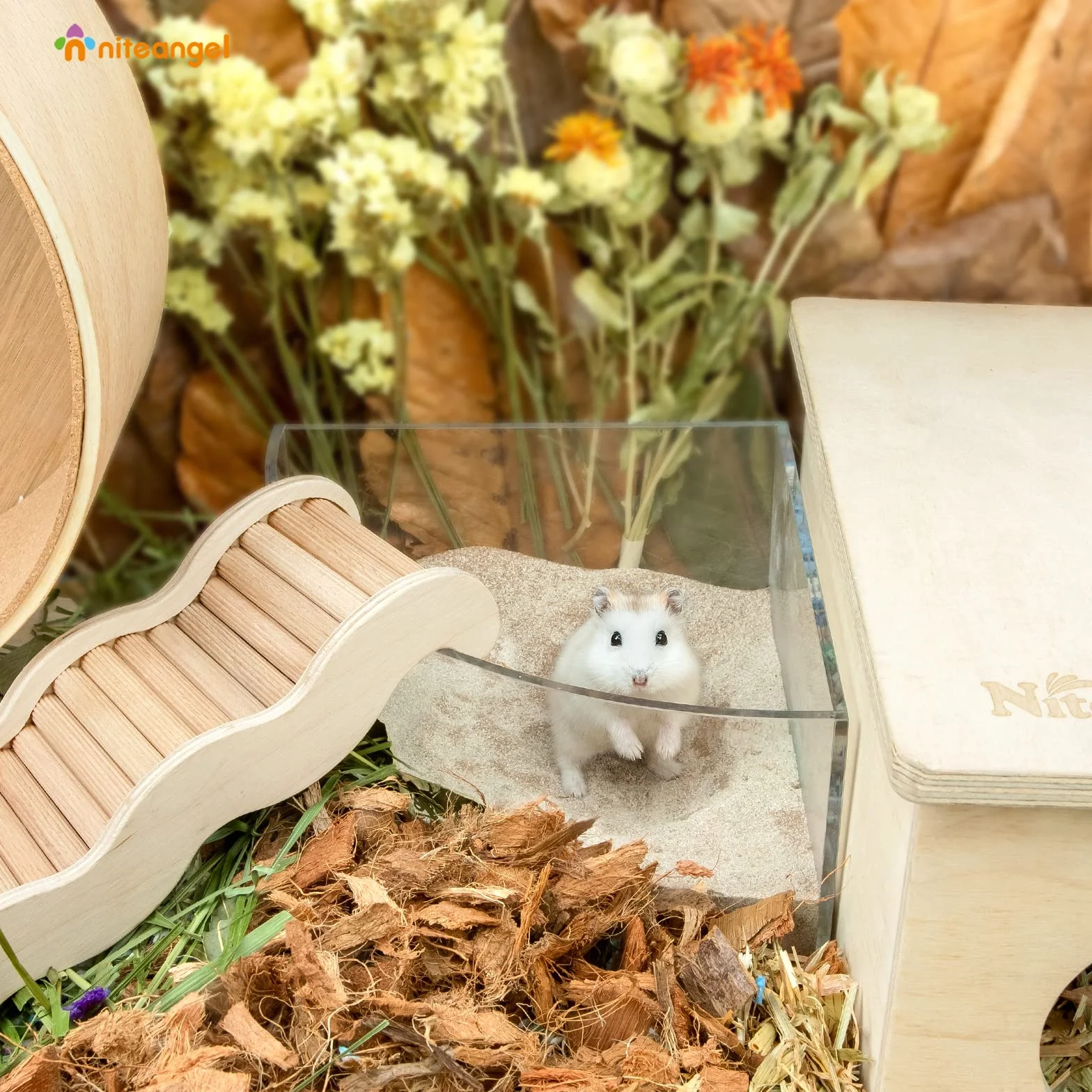 Niteangel Arena de baño del desierto para hámster, arena para baño o orinal sin polvo para hámster, chinchillas, jerbos, ratones, degu u otras mascotas pequeñas