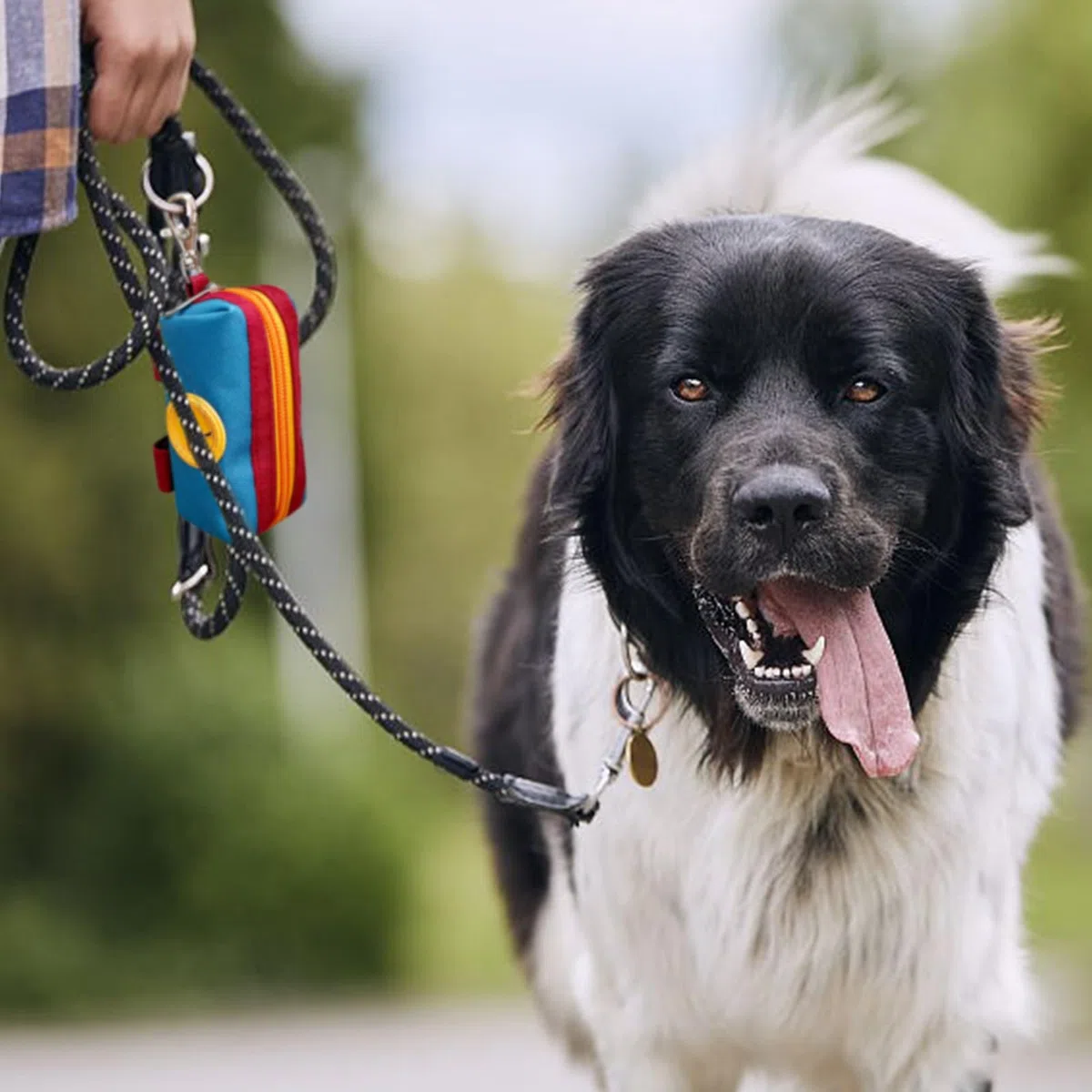 Soporte para bolsas de excrementos de perro, bolsa con cremallera, dispensador portátil de bolsas para excrementos de perro con 1 clip de metal, soporte de lona a juego para bolsas de basura