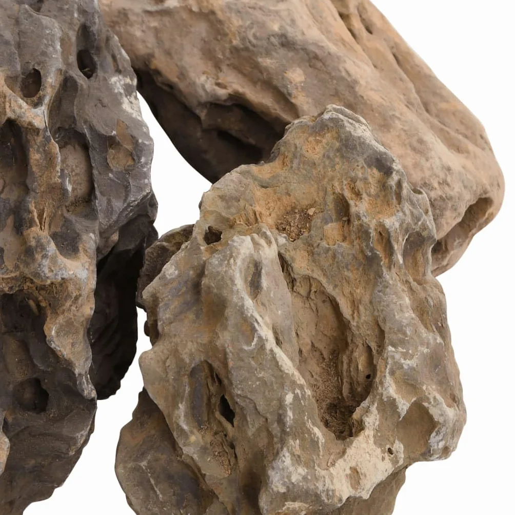 Genérico Piedras de dragón Gris 10 kg 10-40 cm, Decoración de acuarios Gris,3217168