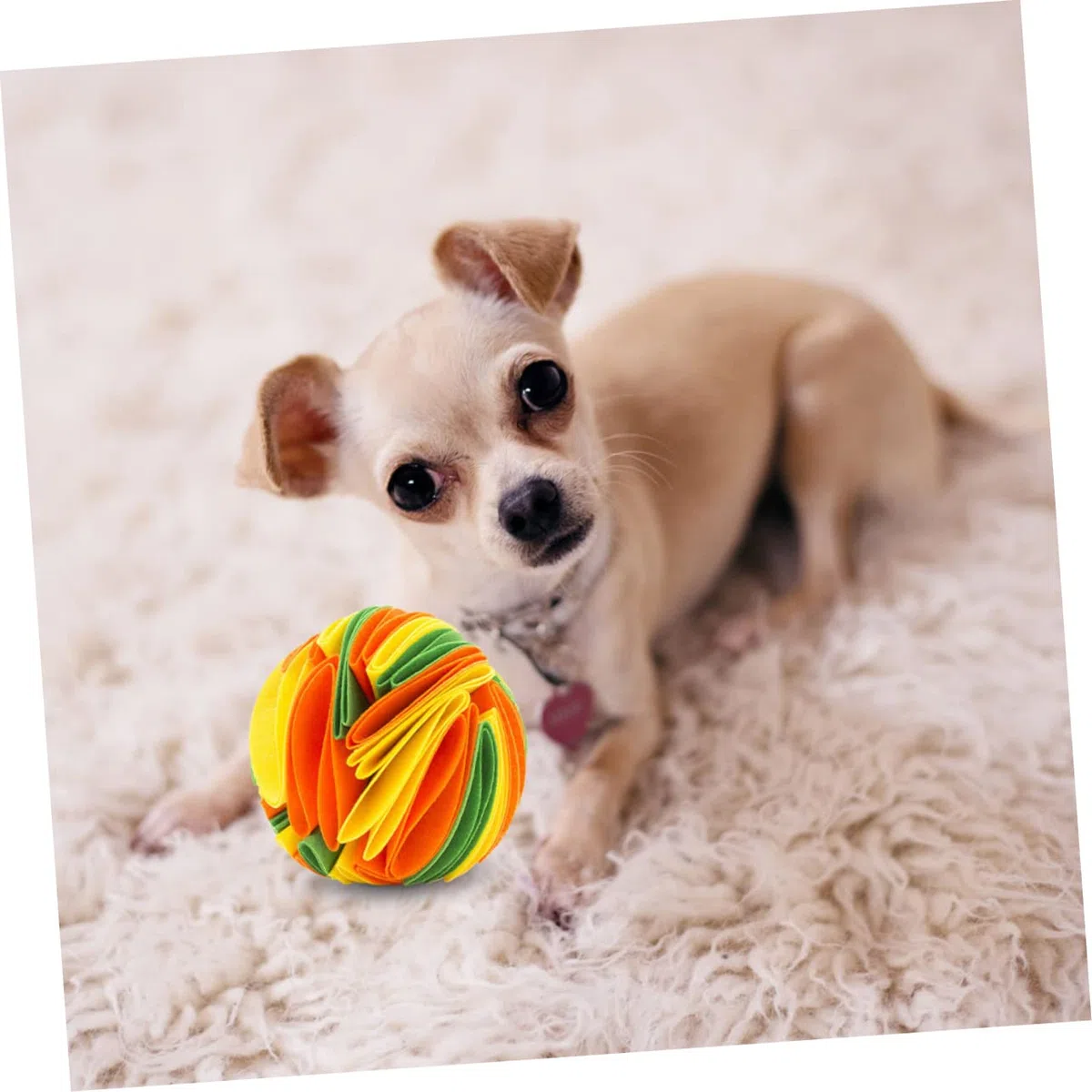 Kisangel 2piezas Juguete Interactivo para Perros Bola De Olfato para Mascotas Juguete De Masticación y Dispensador De Comida Estimula La Coordinación y Previene El Aburrimiento