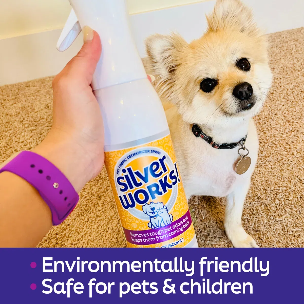 SilverWorks! Desodorante en aerosol de tela, eliminador de olores, utiliza tecnología de iones de plata para eliminar olores y eliminar olores del hogar y mascotas