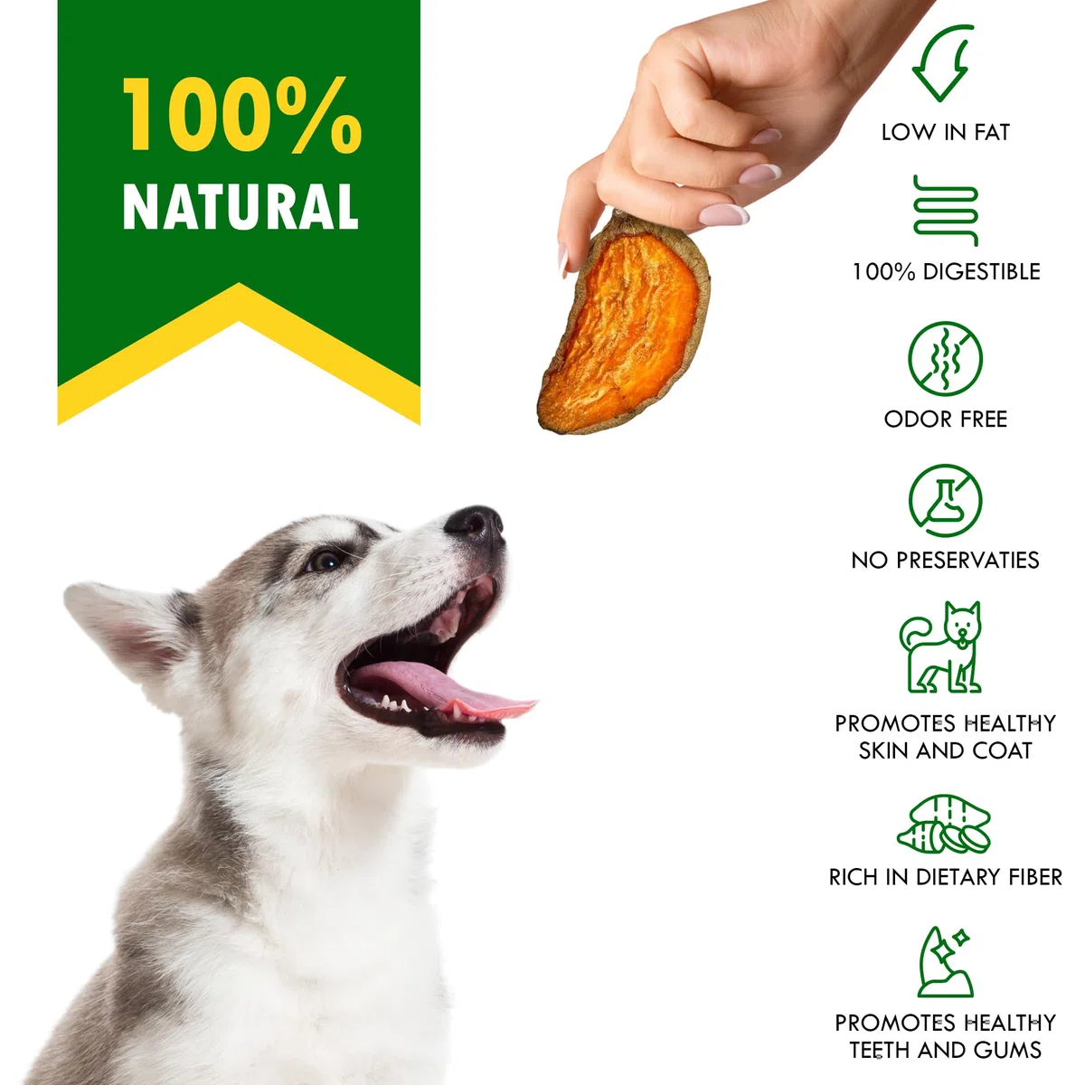 Golosinas de batata fritas para perros, Snacks y Premios