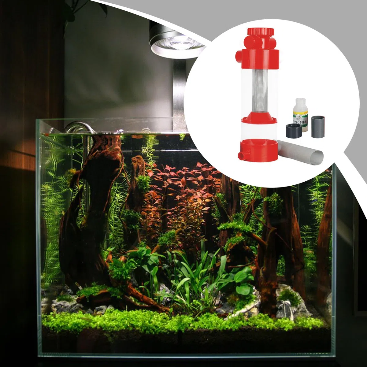 Filtro para Heces de Peces Filtro Limpiador de Excrementos para Acuario | Separador Externo para Acuario Limpieza y Filtración