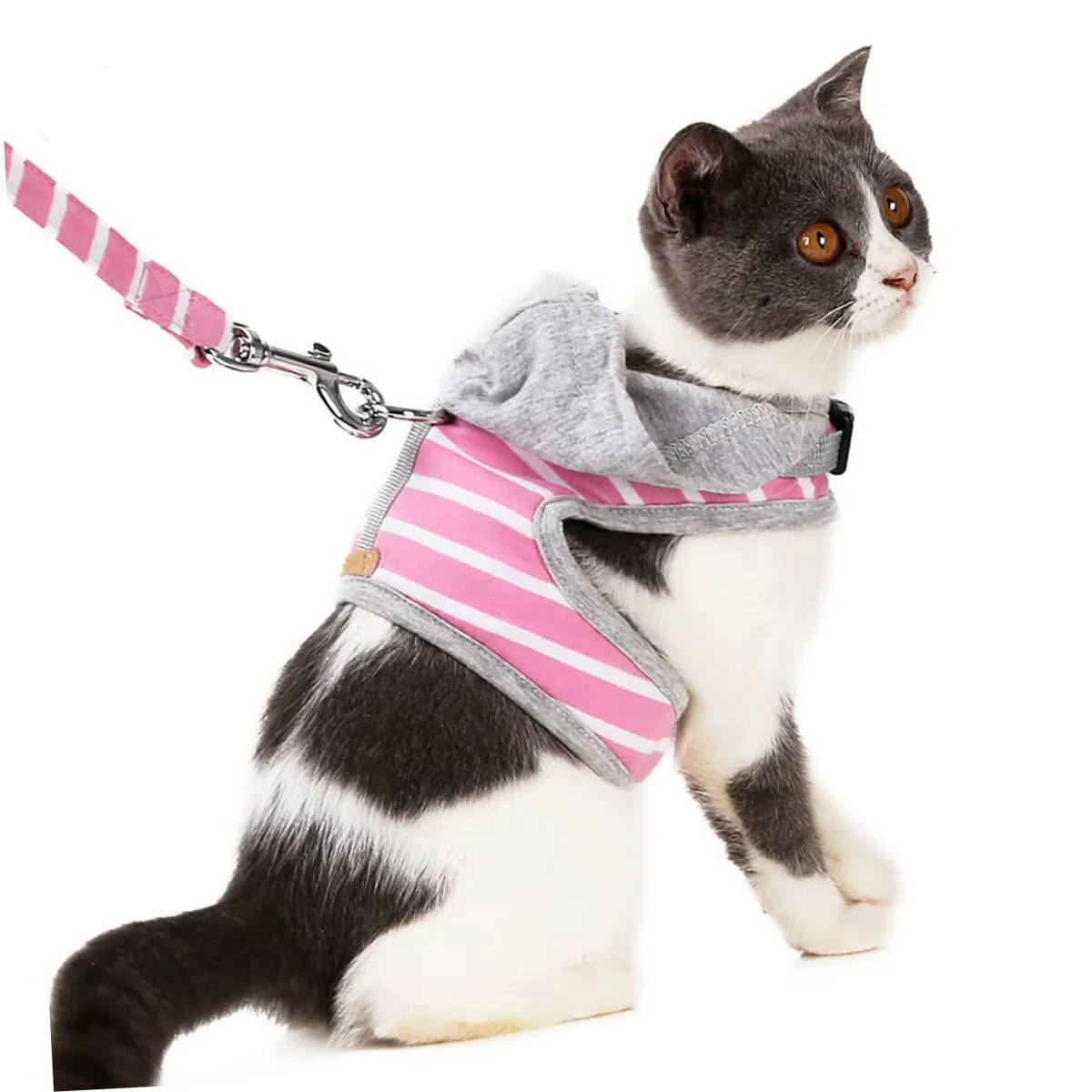 BESPORTBLE 2piezas Arnés y Correa para Gatos Diseño De Rayas Chaleco para Paseos Al Aire Seguridad Garantizada Talla