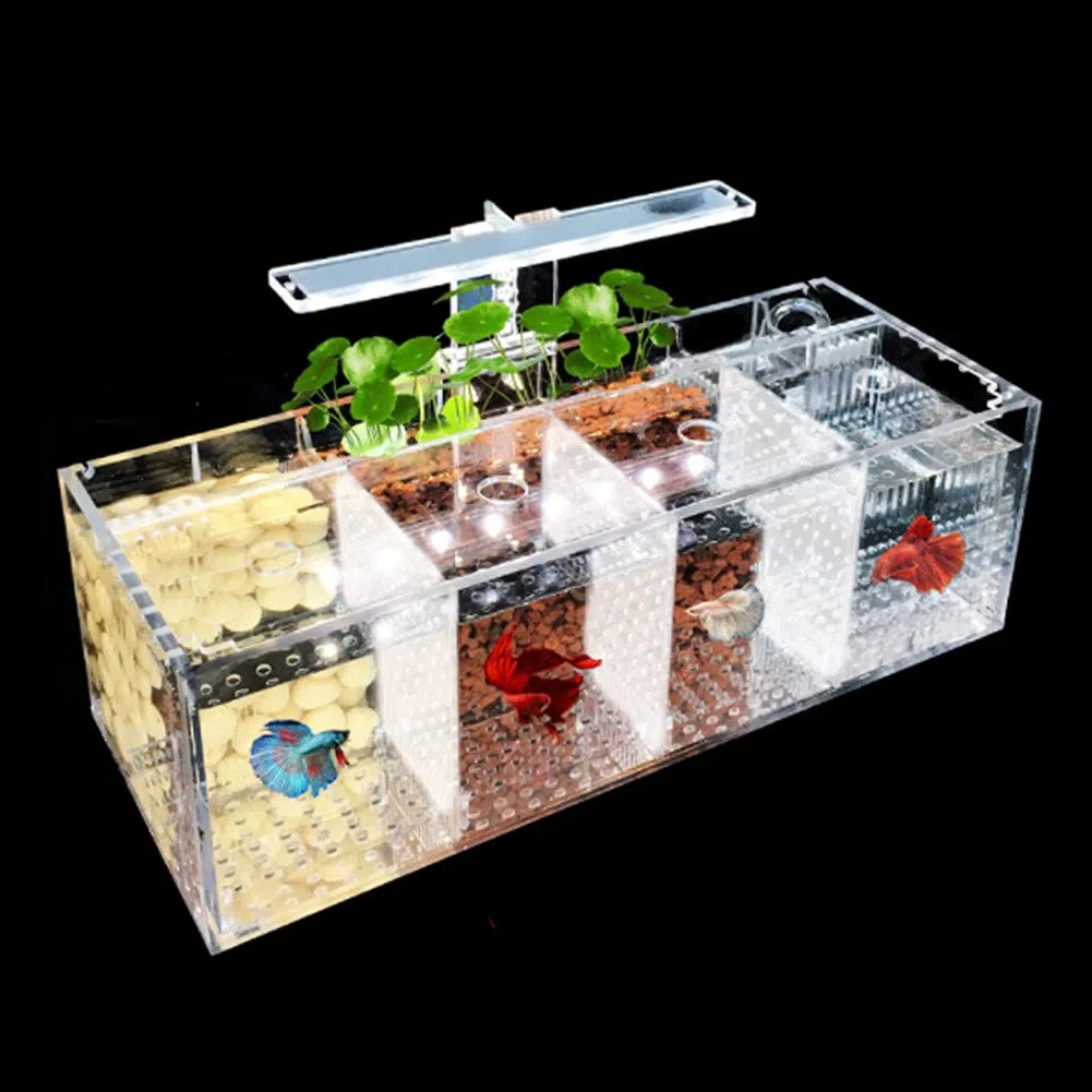 Betta Fish Tank Aquarium Material acrílico Mini pecera de Escritorio Kit de Cuencos con Bomba de Agua y Luces LED Autocirculación Tanque ecológico Sala de Aislamiento de Peces Enfermos (4 Rejillas)
