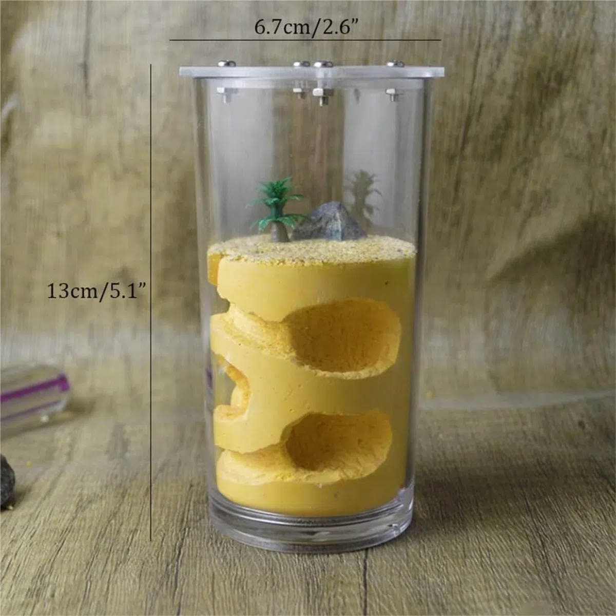 Acrylic Ant Castle