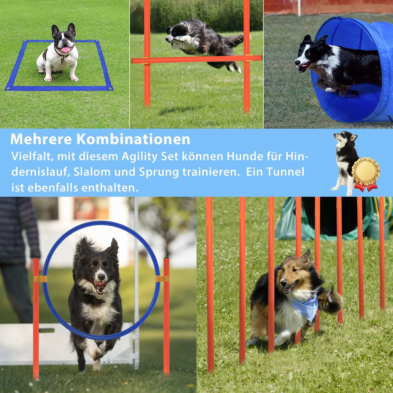 Agility Set de entrenamiento para perros con túnel para perros, obstáculos de altura ajustable, anillo de salto y varillas, juego de entrenamiento para mascotas, incluye bolsa de transporte