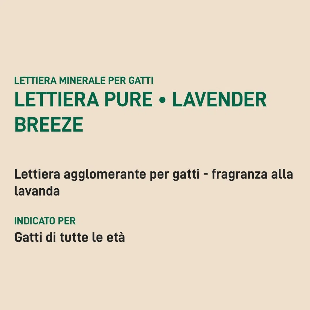 Arena para gatos Oasy Lavender Breeze, arena súper aglomerante para gatos de todas las edades y tamaños, fragancia relajante a lavanda | 1 paquete de 10 litros