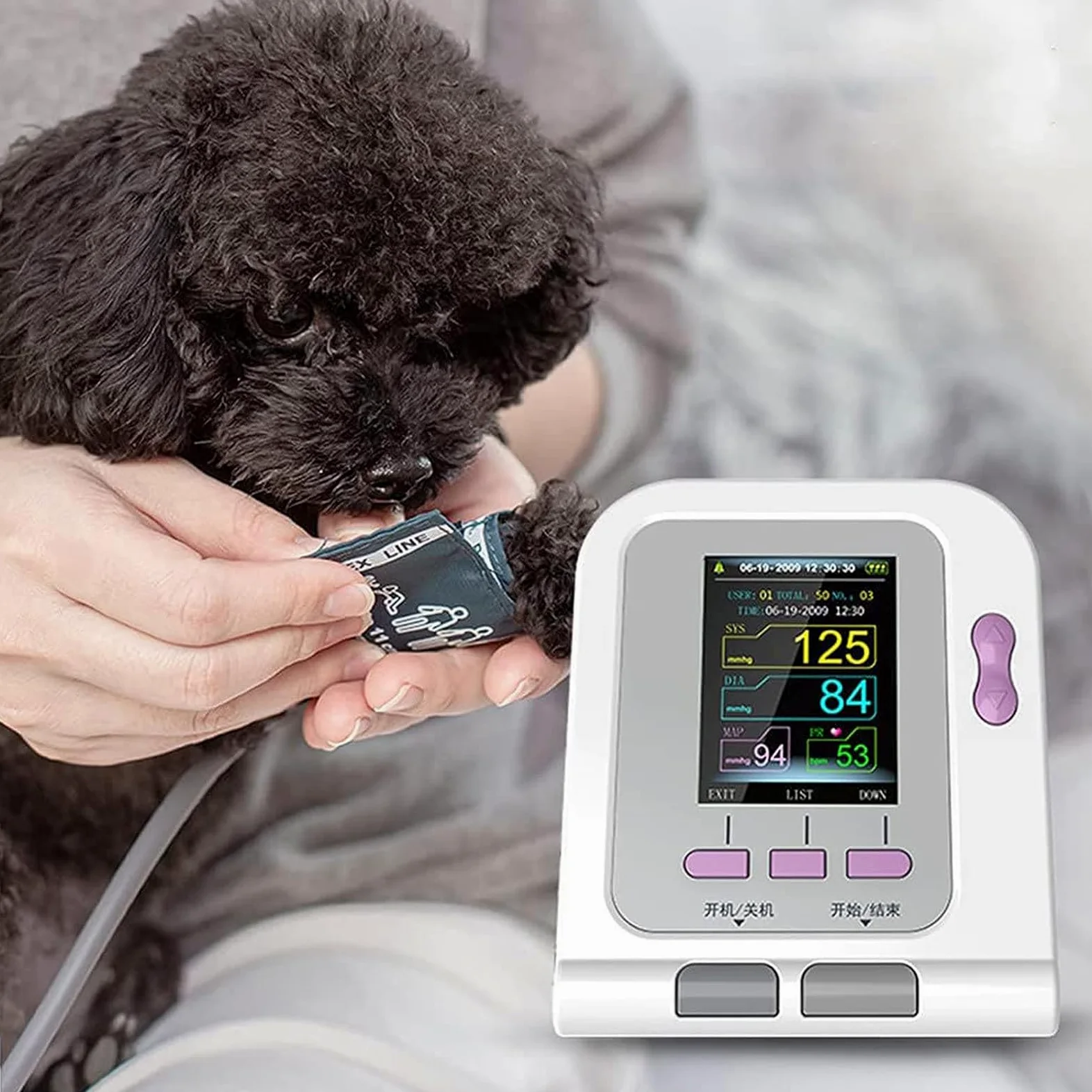 Monitor de presión Arterial electrónico Veterinario, Monitor de presión Arterial para Mascotas, Equipo de Cuidado de Animales para Perros/Gatos/Mascotas
