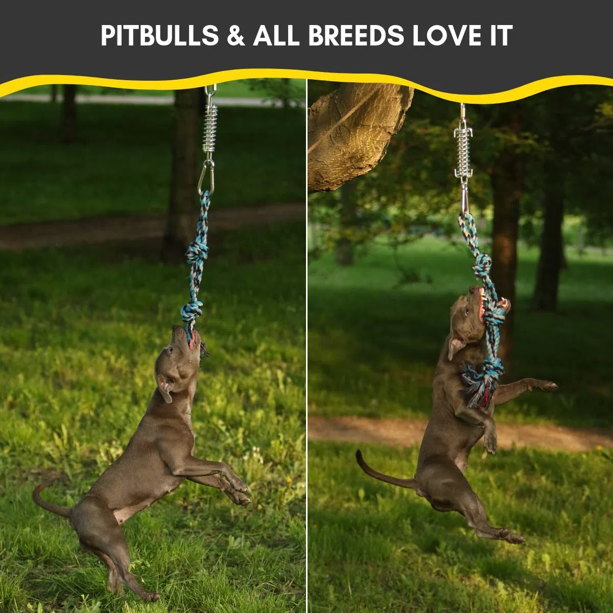 YES4QUALITY Poste de coqueteo para Perros, 2 Postes de Resorte duraderos con Juguete de Cuerda Fuerte, señuelo Resistente para Cualquier tamaño, Divertido Entrenamiento de obediencia y Ejercicio