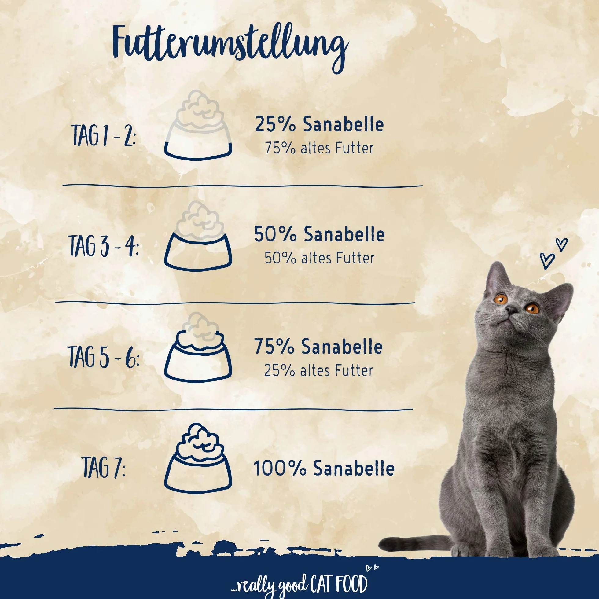 Sanabelle Senior | Comida seca para gatos mayores a partir de 8 años | 1 x 10 kg