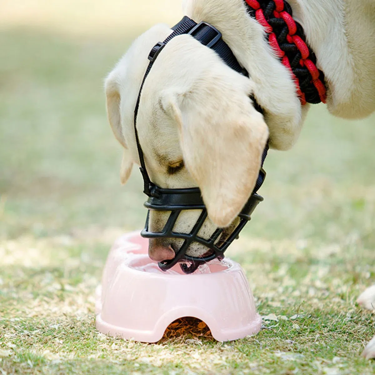 Bozal para Perros, Bozal antiladridos for Perros, Protector de bozal for, Transpirable, Ajustable, diseño humanizado, Permite jadear y Beber(Red,XS)