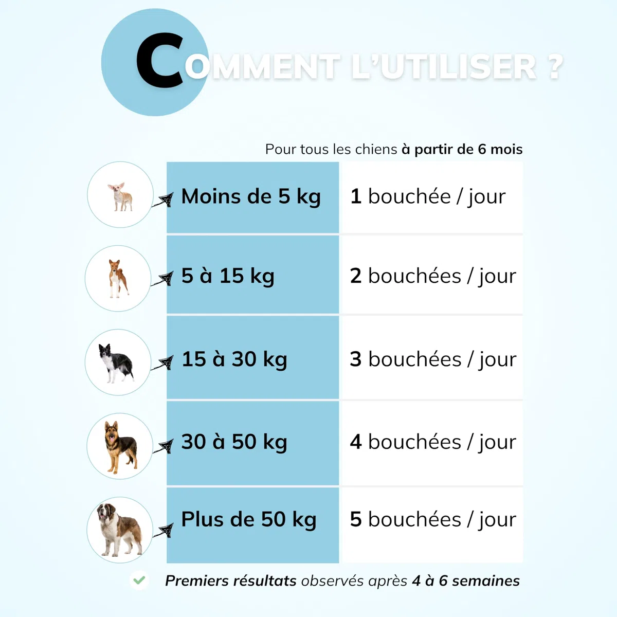 Aliento, placa y sarro para perros | Higiene oral y aliento fresco | Algas, levaduras, perejil y extracto de té verde | Suplemento dental | 60 bocados | Fórmula veterinaria francesa