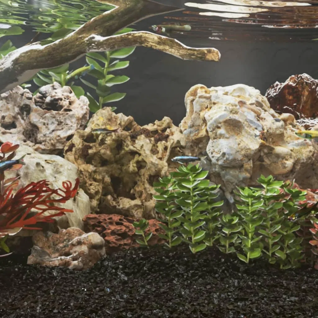 Genérico Piedras de dragón marrón 10 kg 5-30 cm,Producto para Mascotas y Animales,Productos para Mascotas,Productos para Peces,Decoración de acuarios-3217166