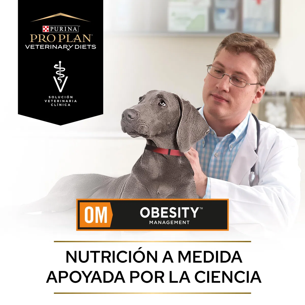 Pro Plan Veterinary Diets Canine OM Obesity Management | 12 x 400 g | Alimento Completo dietético para Perros Adultos | para la reducción del sobrepeso | Bajo en calorías