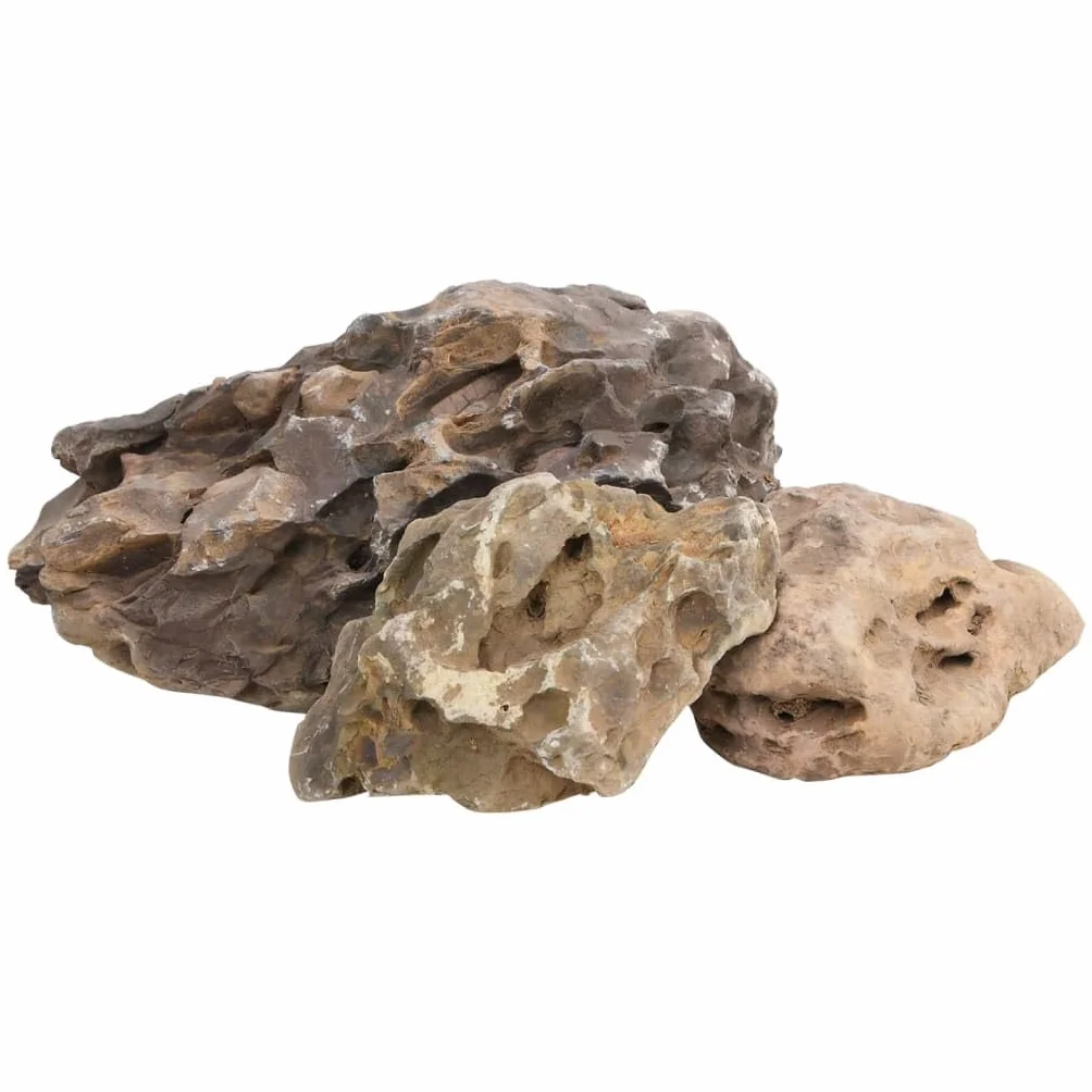Genérico Piedras de dragón Gris 10 kg 10-40 cm, Decoración de acuarios Gris,3217168