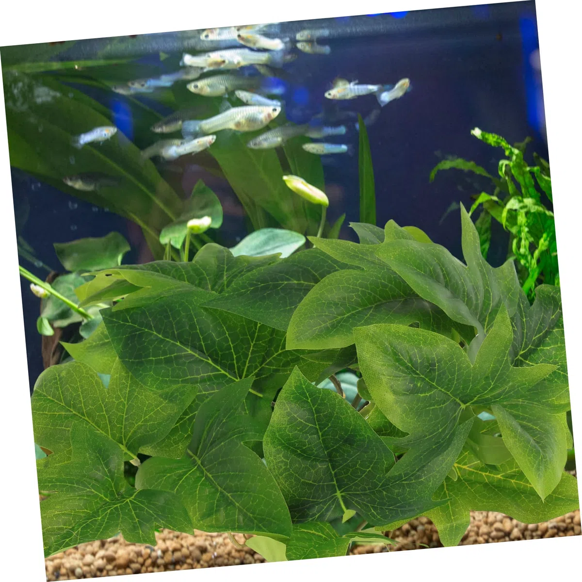 Yardwe 3piezas Artificial para Terrario y Decoración De Reptiles Simulada Pared Ornamentación De Hábitat De Yuca Accesorio De y Terrario