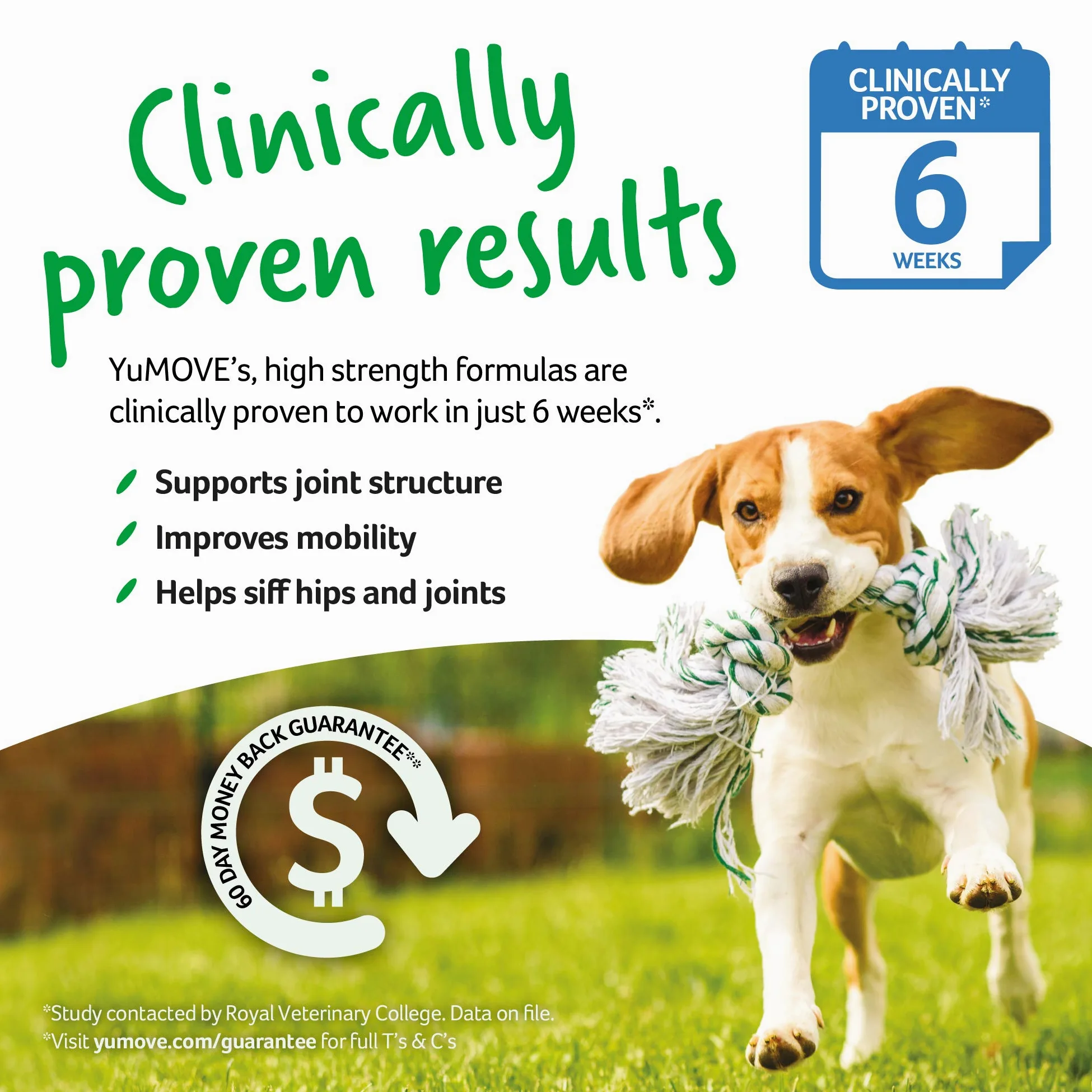 YuMOVE Condroprotector Perros Senior + Probioticos Superpack - Pack 120+120 Comprimidos - ActivEase Mejillón Verde & ActivBio - Movilidad, Digestión & Bienestar Diario para Perros Mayores Total