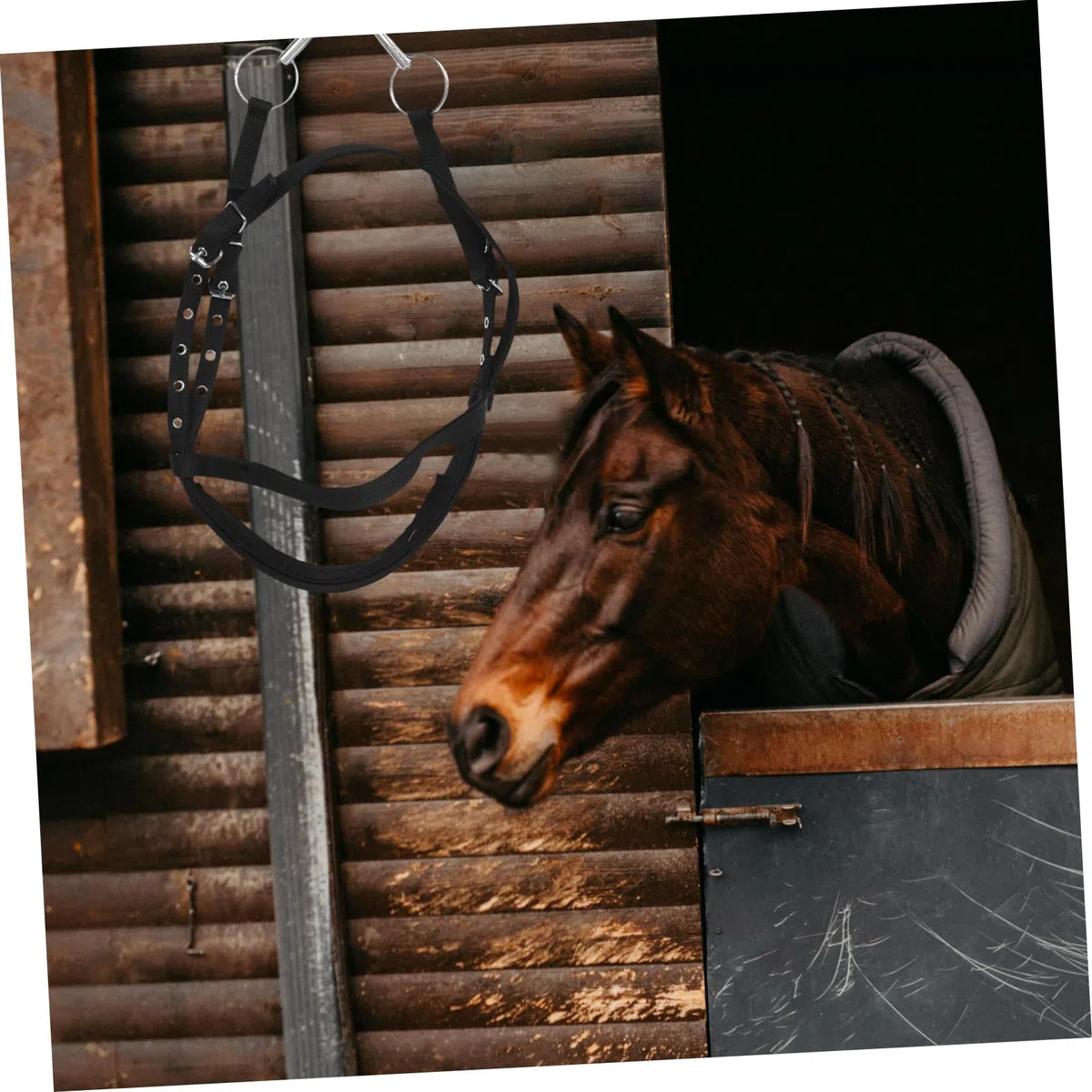 De Nylon para Caballo Cuerda De Entrenamiento Resistente Útil para Equitación y Paseos Diseño Elegante y Práctico para y