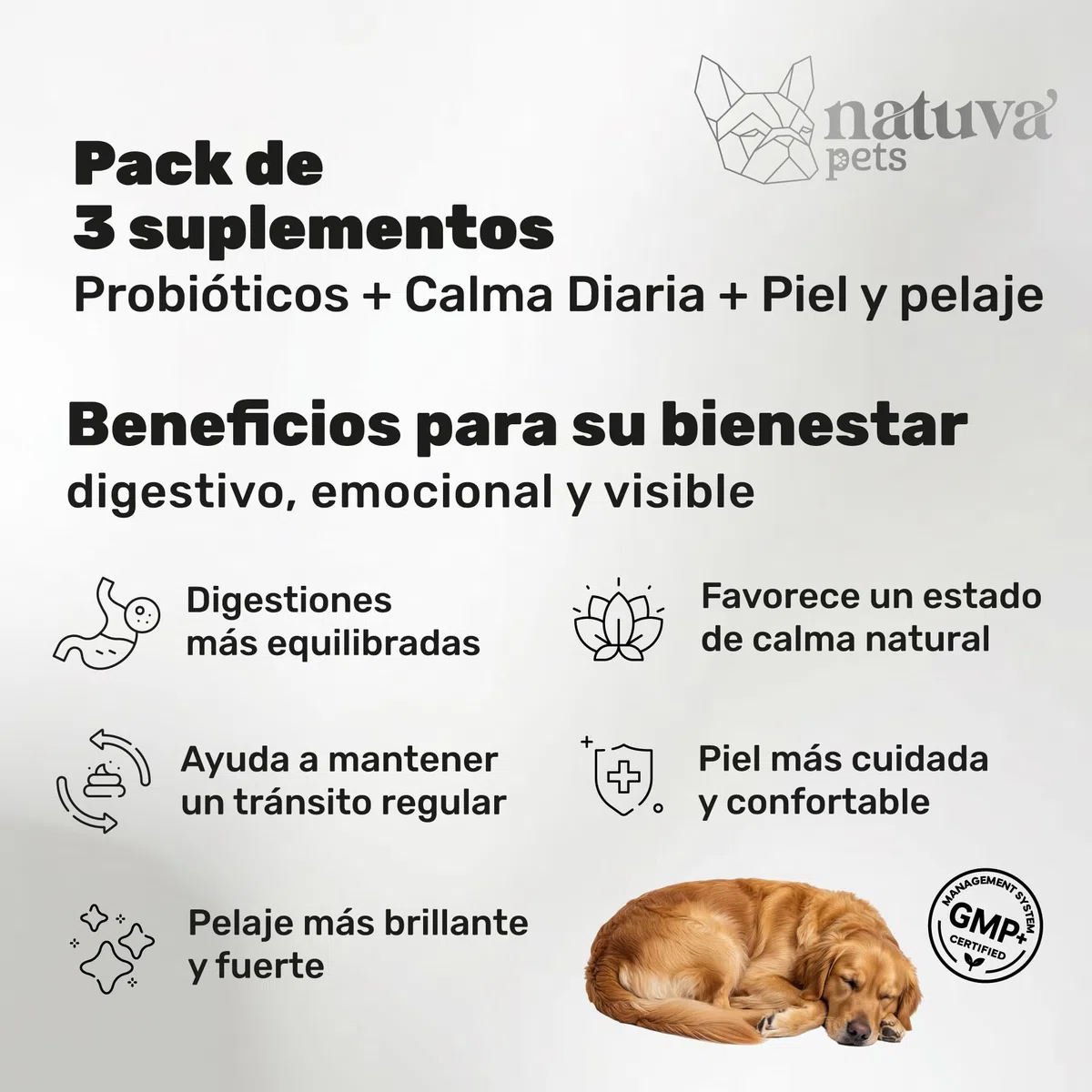 Probiótico + Calmante + Aceite de Salmón para Perros - Pack de Suplementos para Digestión, Flora Intestinal, Estrés, Ansiedad, Piel y Pelaje - Natuva Pets