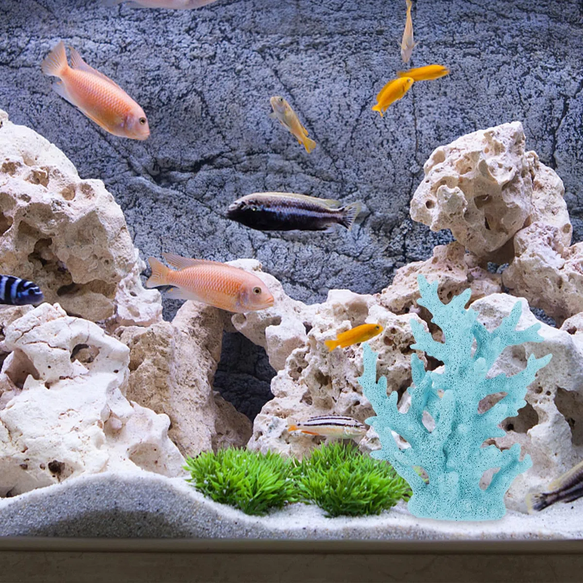 Toyvian Adorno de Coral Azul de Resina para Decoración de Acuario, Resistente Abrasión, Adecuado para Peces y Accesorios de Peceras