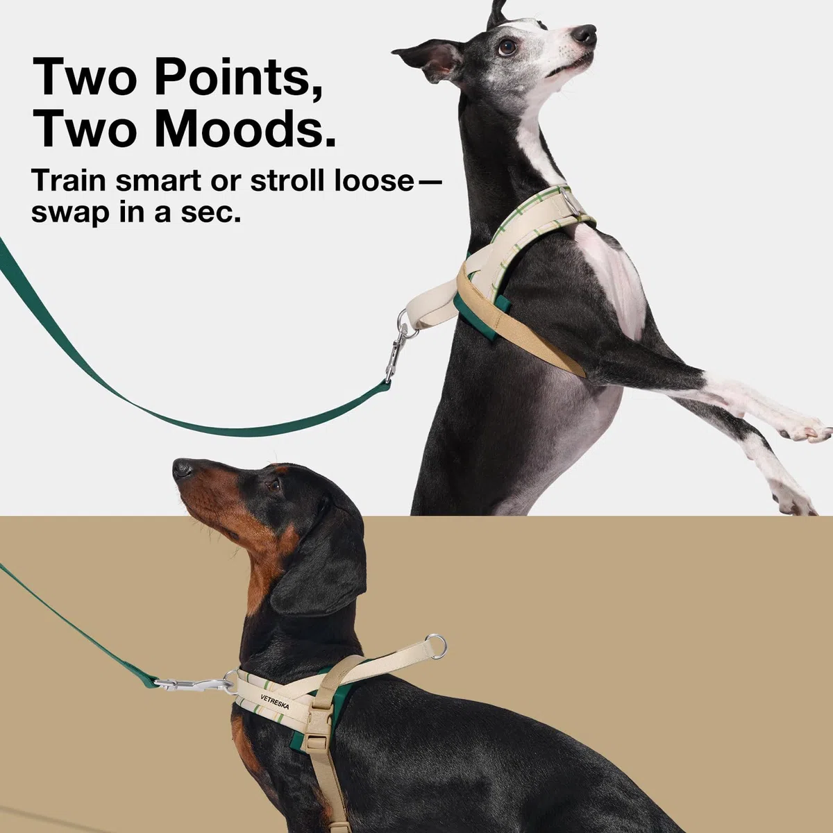 VETRESKA Easy Walk - Juego de arnés y correa para perro, arnés para perros pequeños y medianos, arnés para cachorros sin tirones para pasear y entrenar, ajustable, correa antitorsión (Santal Forest