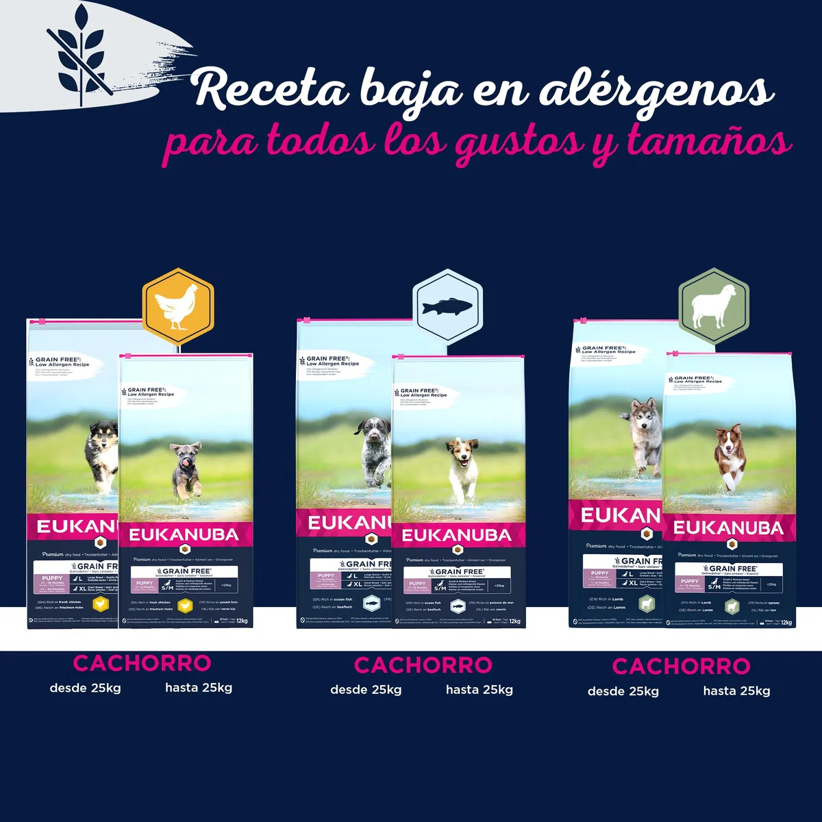 EUKANUBA Grain Free * Alimento para cachorros de razas grandes, rico en cordero, 12kg