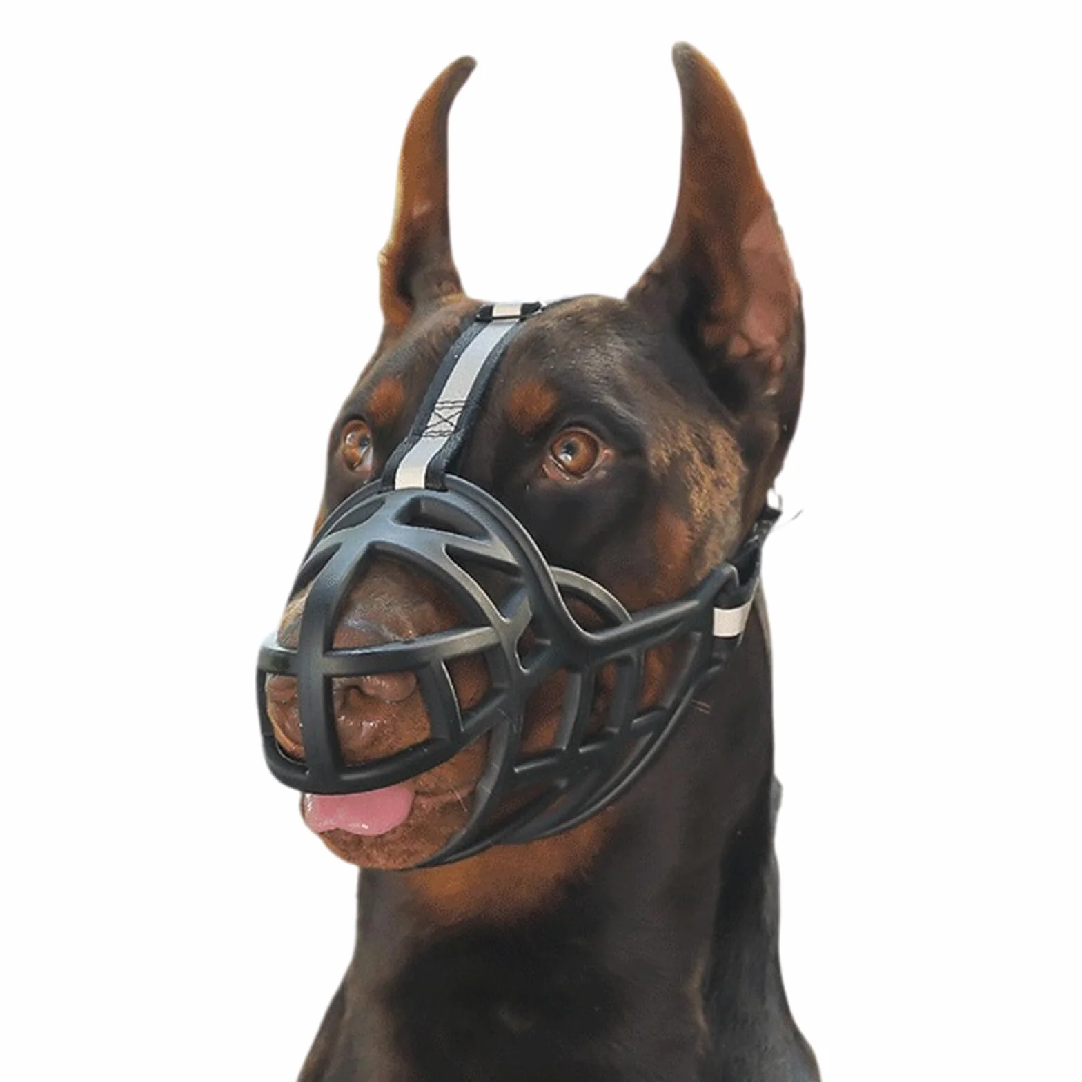 Bozal for Perros antimordeduras, Suave, Talla Mediana, Transpirable, Ajustable, diseño humanizado, Permite jadear y Beber(No. 1)