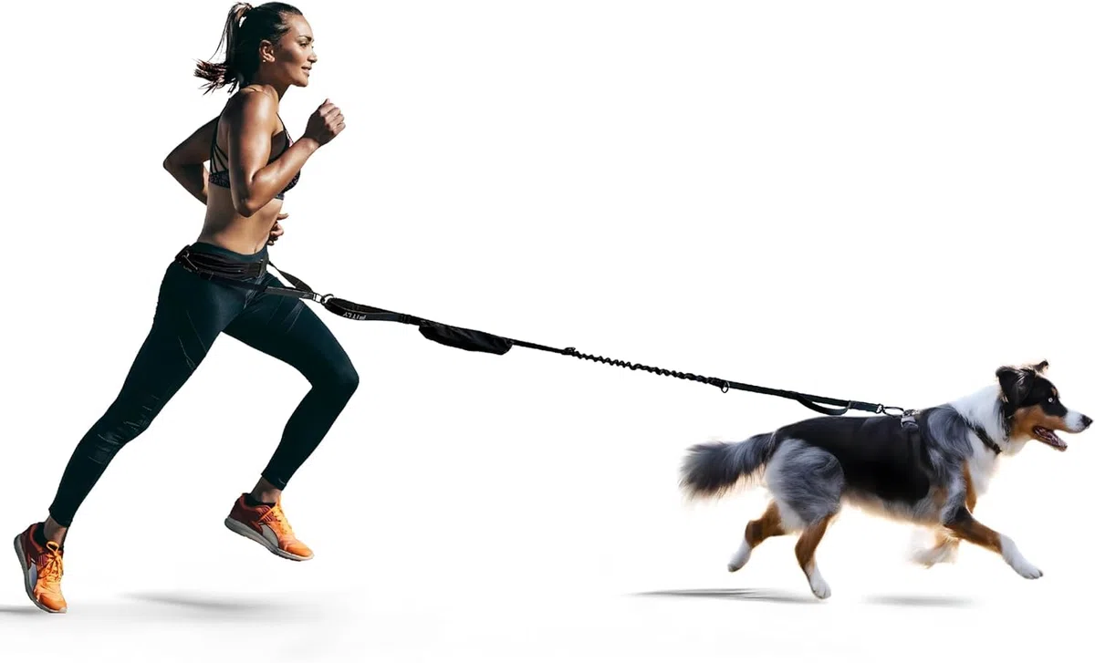 FITLY Cinturón de Cintura para Perros Que Funciona con el Plomo para Perros Que Funciona - Canicross Arnese Lleva artículos personales Corriendo, Caminatas, Caminatas