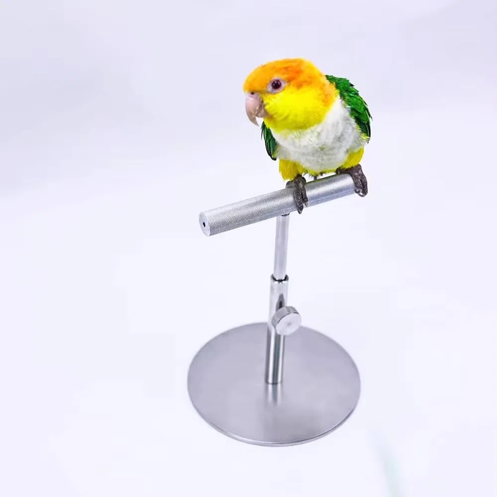 Soporte de Escritorio para Loros, Percha de Entrenamiento Totalmente Metálica para Aves