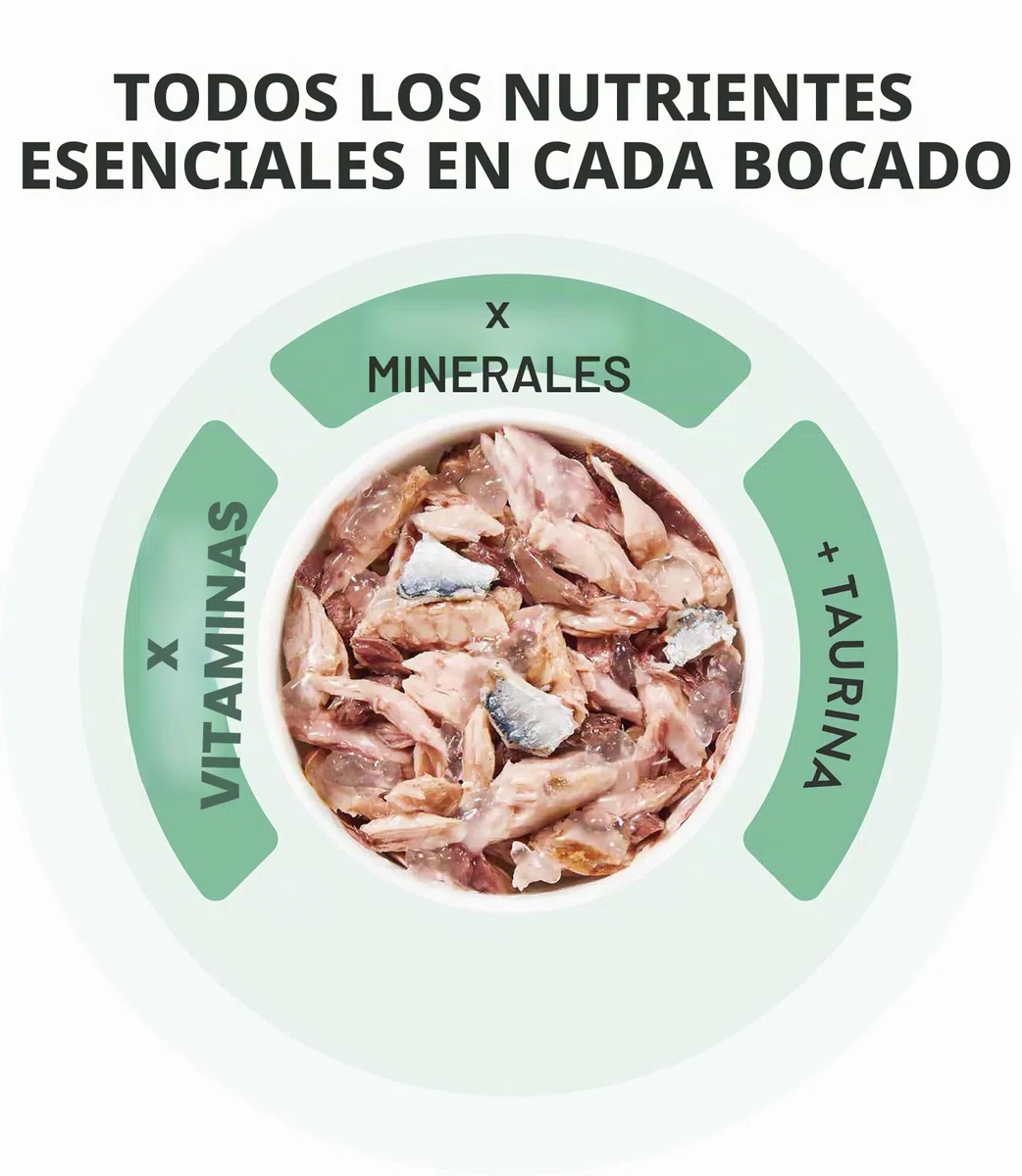 Schesir, Atún En Gelatina, Alimento Húmedo Completo para Gatos, En Lata, con Vitaminas Añadidas, 100% Filetes Naturales, Cruelty-Free, 6 X 50g