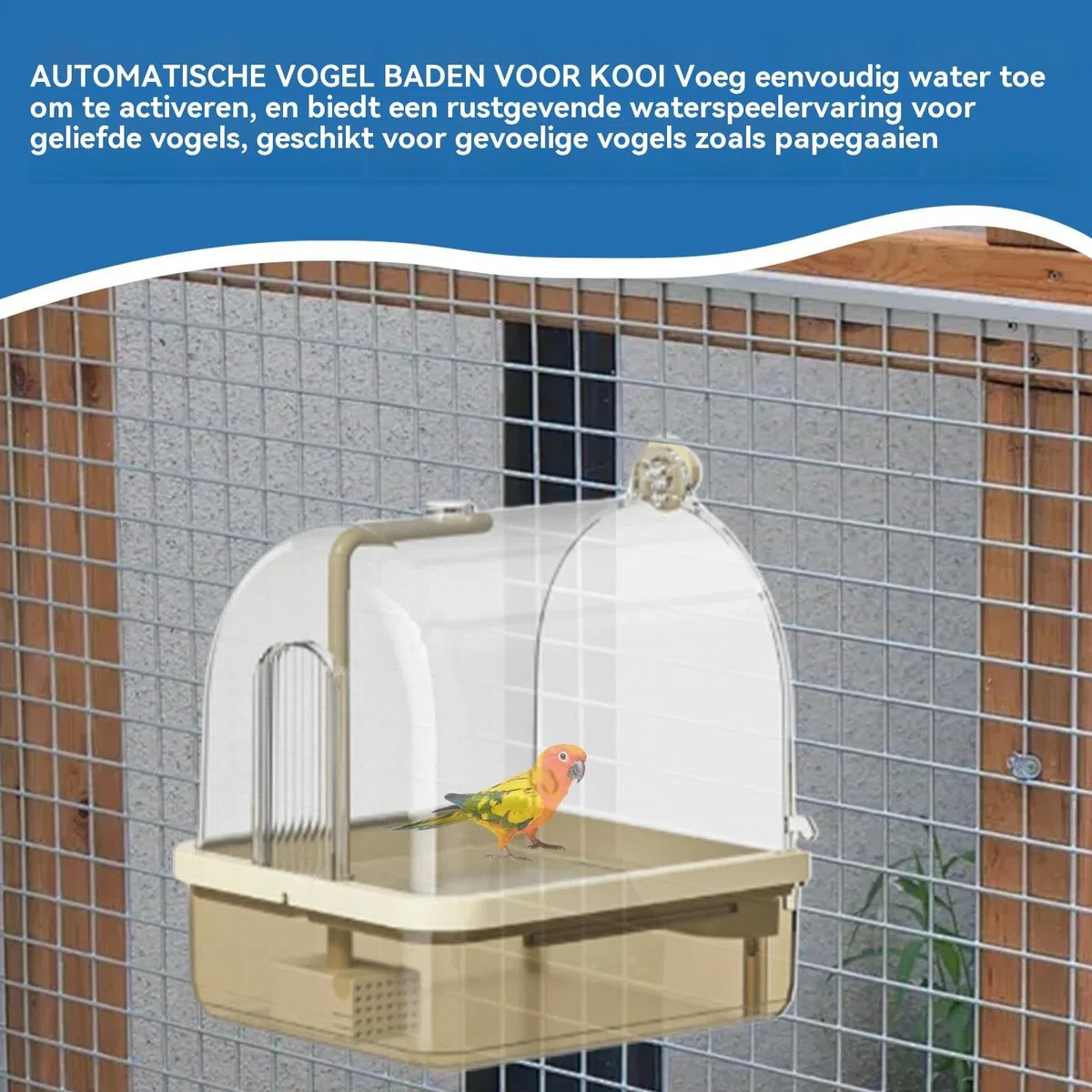 Bañera Para Pájaros Que Se Coloca En Jaulas Ducha Automática Periquitos 2