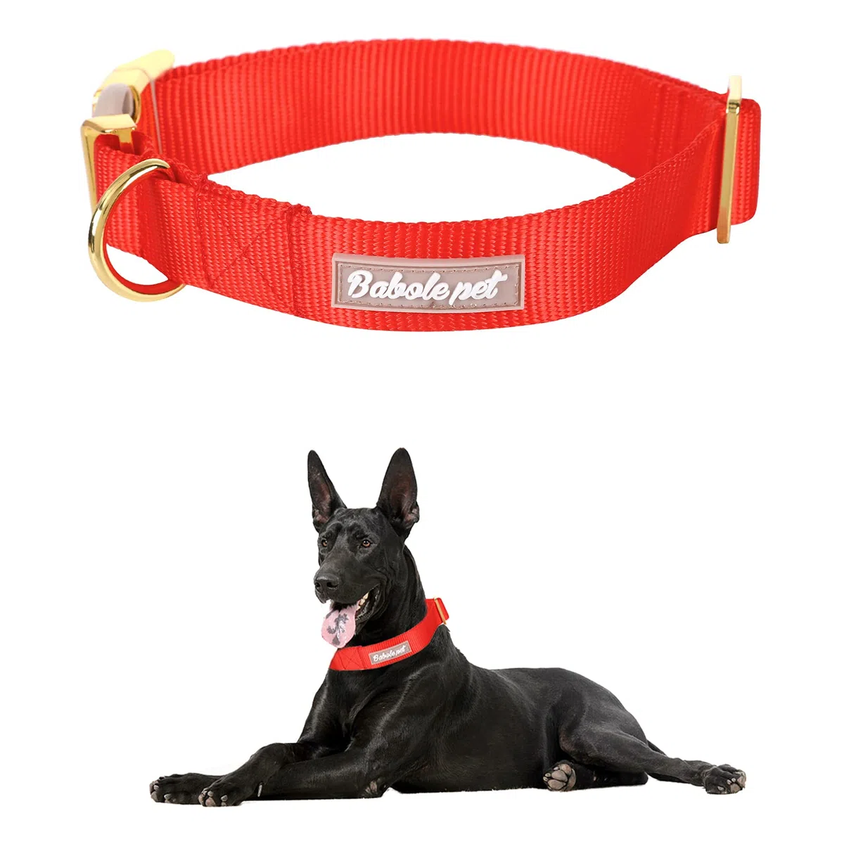 Babole - Collares de perro con hebilla de metal de seguridad, ajustables y cómodos collares de nailon para perros pequeños y medianos grandes (rojo, XS)