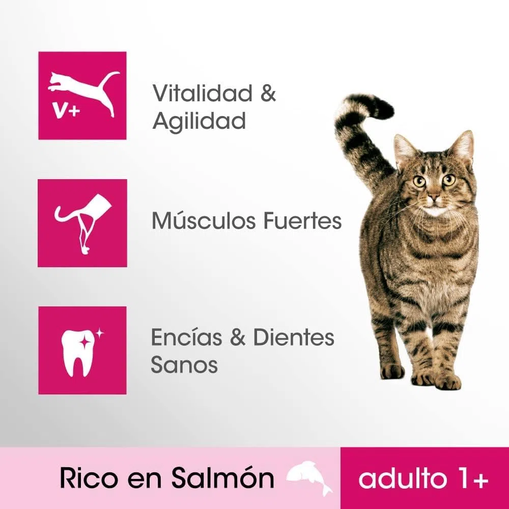 Pienso para Gatos Sabor Salmón (5 Bolsas x 1,4kg)