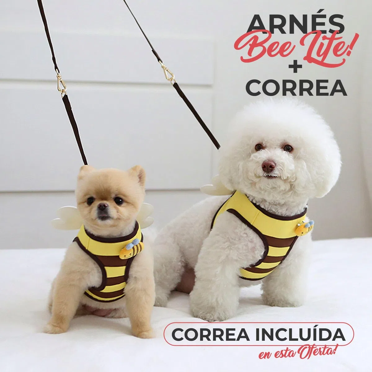 Its Dog & Kangachi - Arnés de Abeja con Correa, Arnés Honeybee, Arnes para Perros, Arnes para Vestir Moderno y Elegante, Ajuste Ergonómico, Perros Pequeños y Medianos, Made in Korea, Talla L